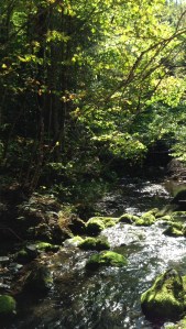 "Ma maison est votre maison. Tous les humains sont de ma race" Gilles Vigneault