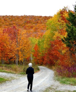 Processed with MOLDIV